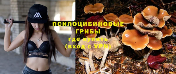 меф Богданович