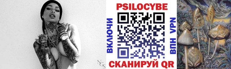 Псилоцибиновые грибы мицелий  цена наркотик  Кондопога 